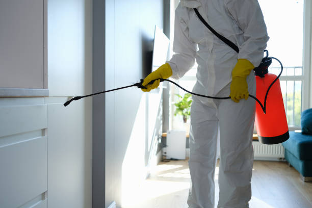 Best Mold Cleaning Services  in Taylor, TX