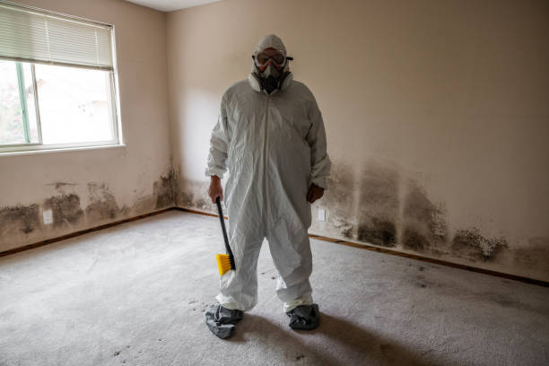 Best Professional Mold Removal  in Taylor, TX